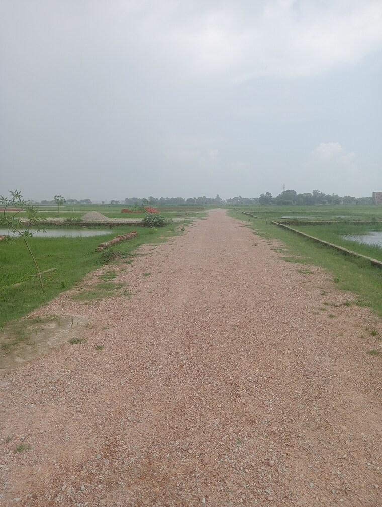 undefined, ramnagar  1000 Sq.Ft. Plot In Ramnagar Varanasi 9214503