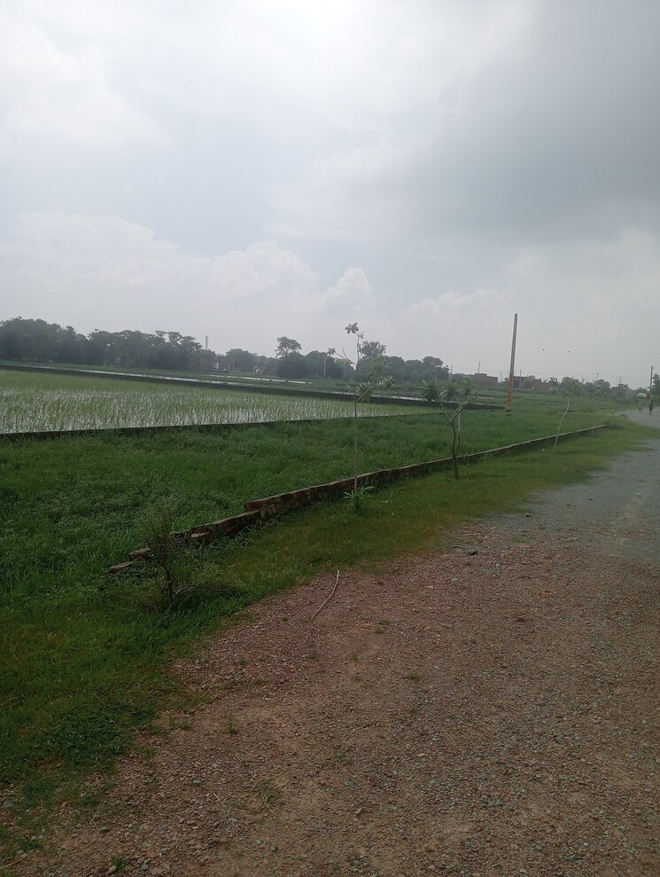 undefined, ramnagar  1000 Sq.Ft. Plot In Ramnagar Varanasi 9214509