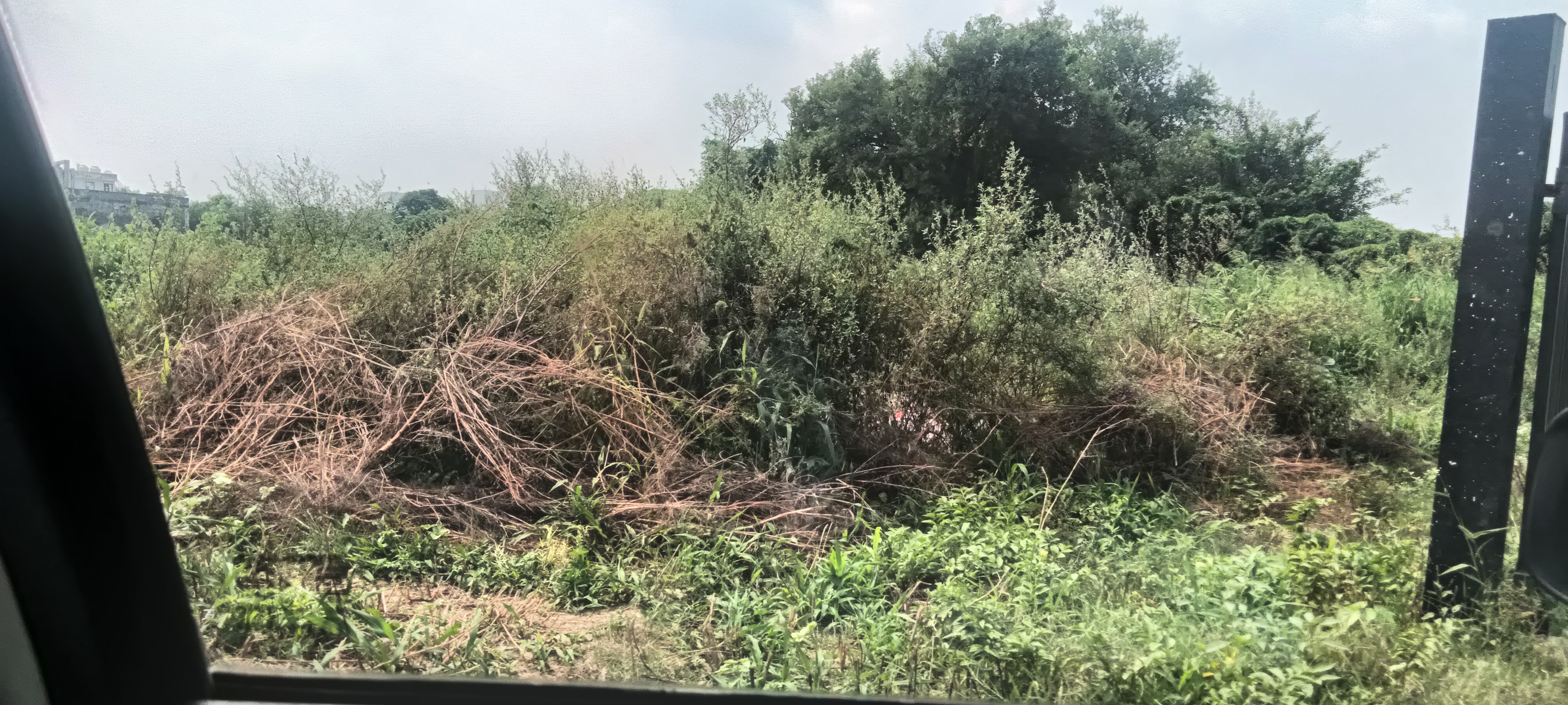 Plot For Sale in TDI City Kundli