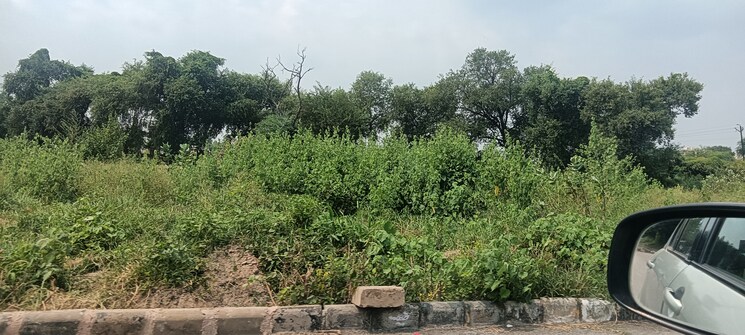 undefined, tdi-city-kundli  251 Sq.Yd. Plot In Kundli Sonipat 9214526
