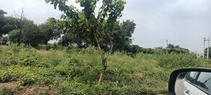  Plot – Garden View at TDI City Kundli, Kundli - for Sale