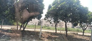 Plot Area in  Plot at TDI City Kundli, Kundli – for Sale