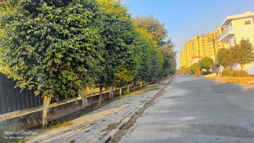  Plot – Exterior View View at Sector 24 - for Sale