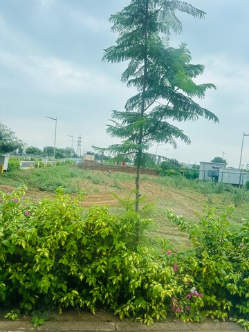 Plot Area in 3 BHK Apartment at Sector 5 – for Sale