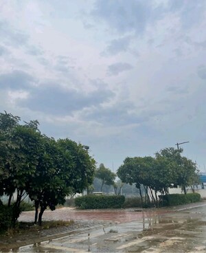  Plot For Sale in Raheja Aranya, Sohna Sector 14