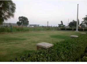 Plot Area in  Plot at Raheja Aranya, Sohna Sector 14 – for Sale