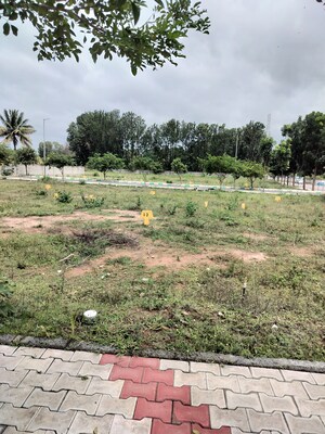  Plot For Sale in Jalahalli East