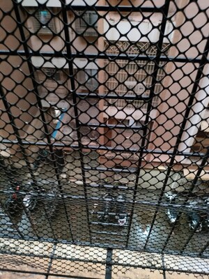  2 BHK Apartment at Vrindavan Society Thane West, Vrindavan Society – for Sale