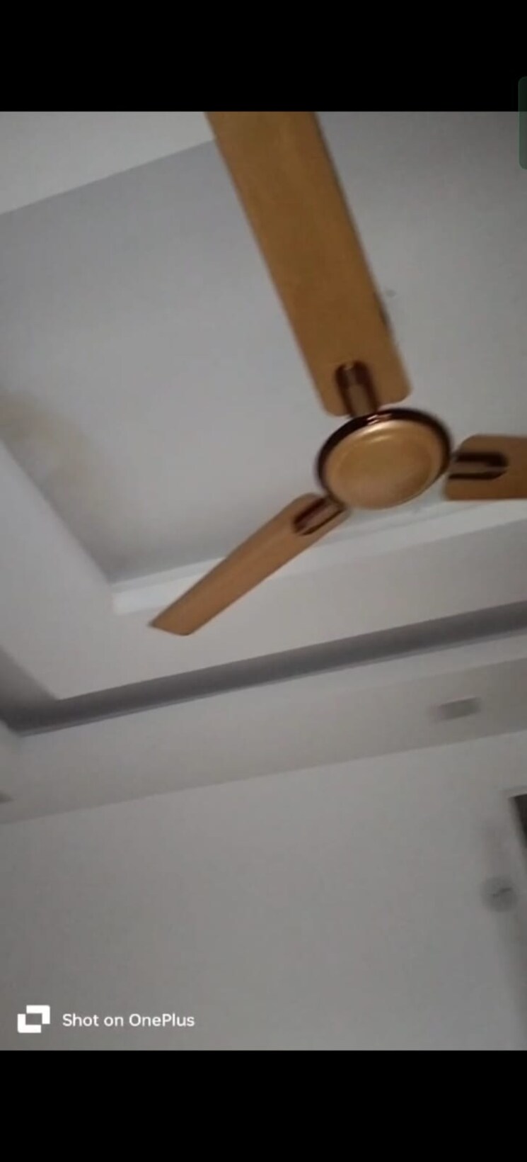 undefined, neharpar 3 Bedroom 121 Sq.Yd. Builder Floor In Neharpar Faridabad 9215261