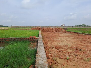 Plot Area in  Plot at Harhua – for Sale