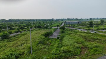 Plot Area in  Plot at Tappal – for Sale
