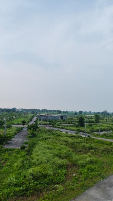 Plot Area in  Plot at Tappal – for Sale