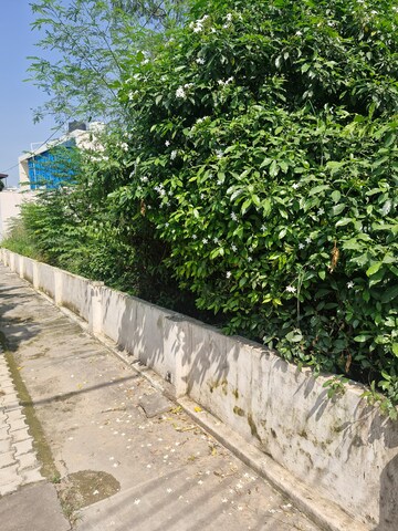  Plot – Exterior View View at Kharar Mohali Road - for Sale