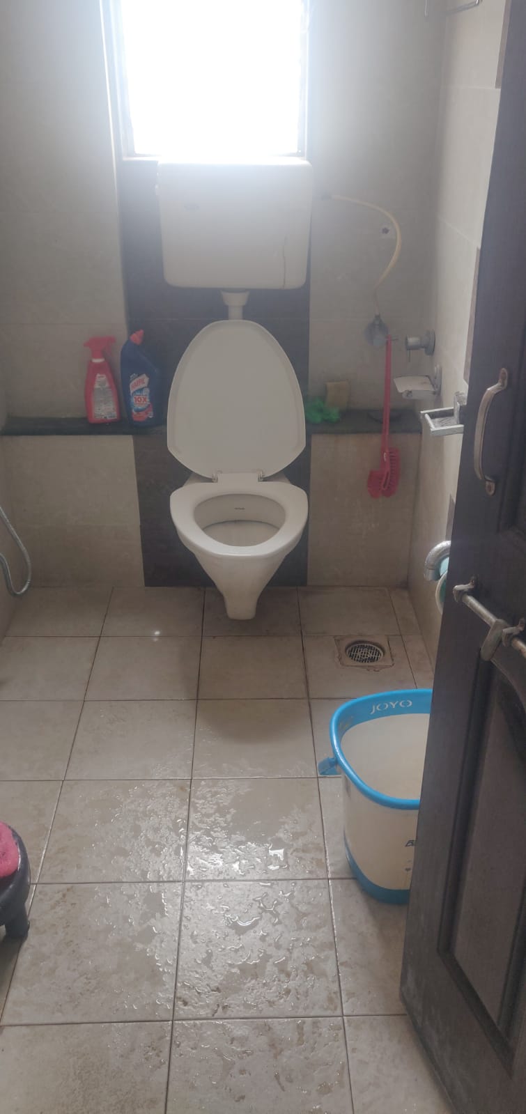 2 BHK Apartment For Rent in GK Rose Icon