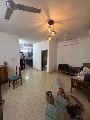 Living Room in 3 BHK Builder Floor at Green Park – for Rent