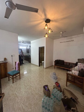 Living Room in 3 BHK Builder Floor at Green Park – for Rent