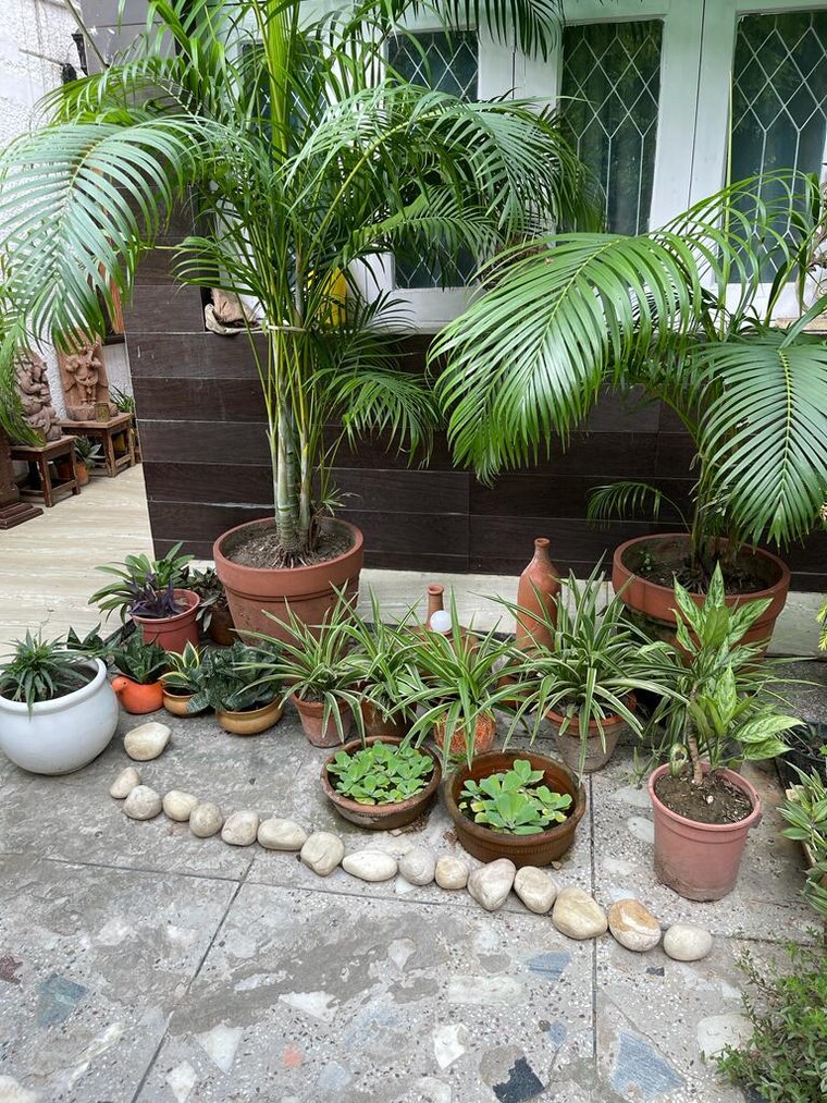  Parking, vijayant-enclave 4 Bedroom 2500 Sq.Ft. Apartment In Sector 29 Noida 9215956