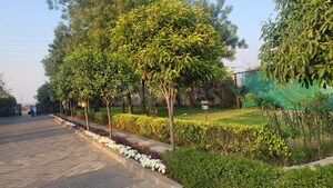 Plot Area in  Plot at BPTP Astaire Gardens, Sector 70a – for Sale