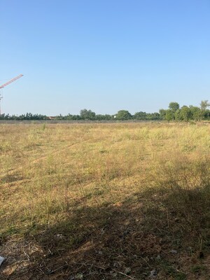  Land For Sale in CHD Y Suites, Sohna Sector 34