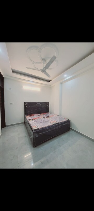 1 BHK Builder Floor For Rent in Saket