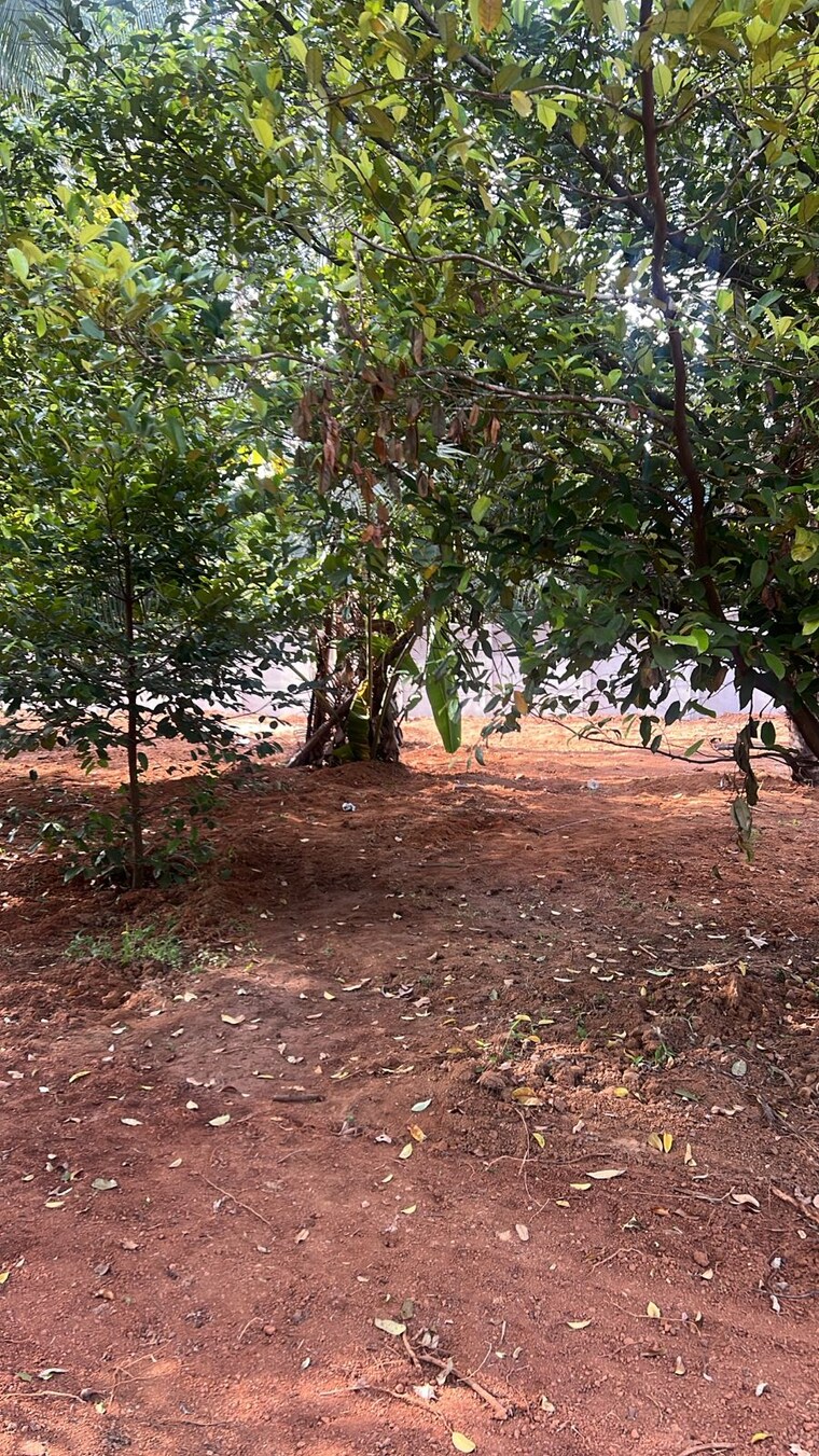 undefined, kolazhy  2614 Sq.Ft. Plot In Kolazhy Thrissur 9216282