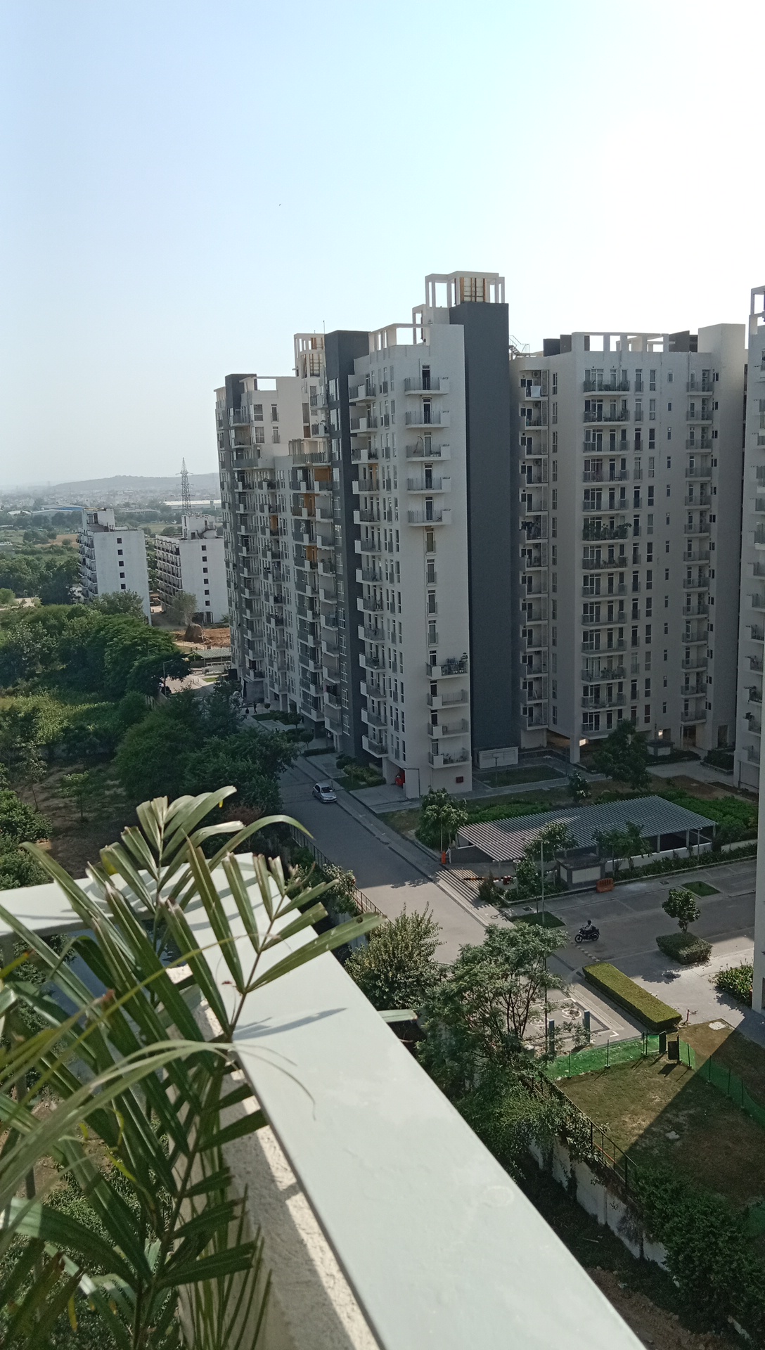 3 BHK Apartment For Sale in Ireo The Corridors