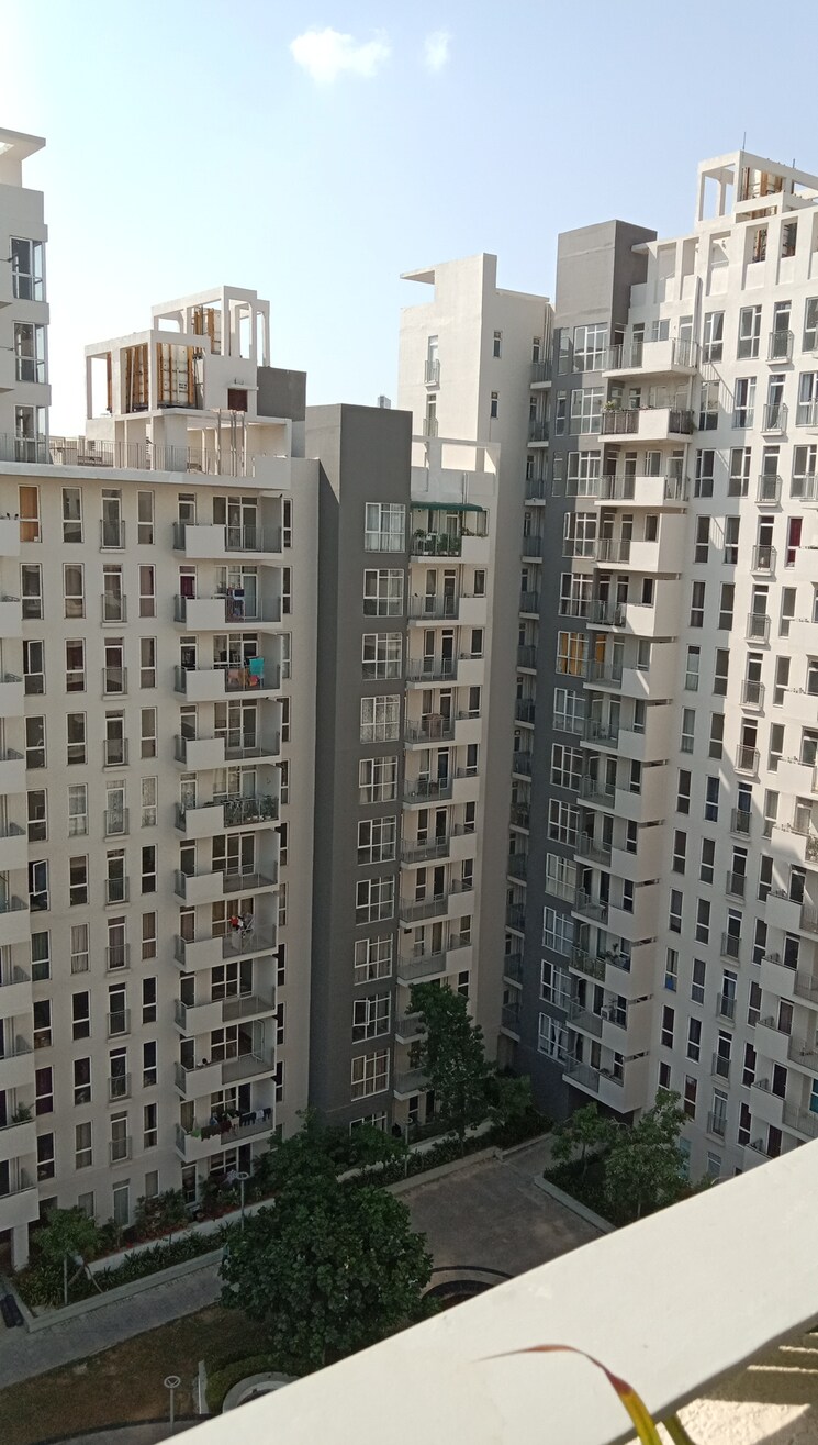 Exterior View, ireo-the-corridors 3 Bedroom 1727 Sq.Ft. Apartment In Sector 67a Gurgaon 9216299