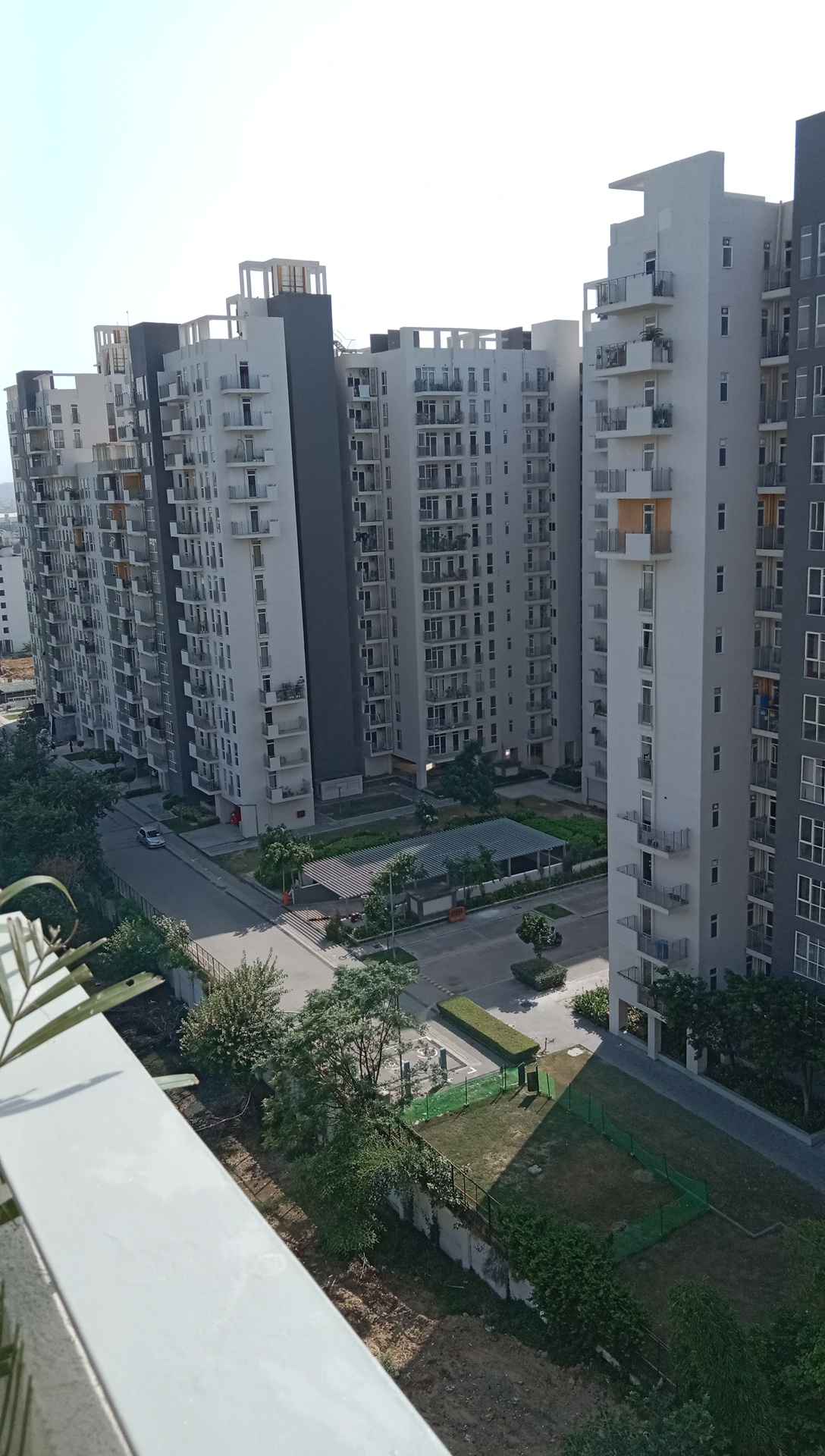 3 BHK Apartment For Sale in Ireo The Corridors