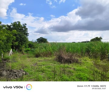 Plot For Sale in Karhati