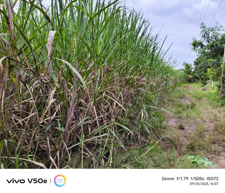 undefined, karhati  69000 Sq.Ft. Plot In Karhati Baramati 9216416