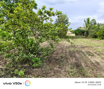Plot Area in  Plot at Karhati – for Sale