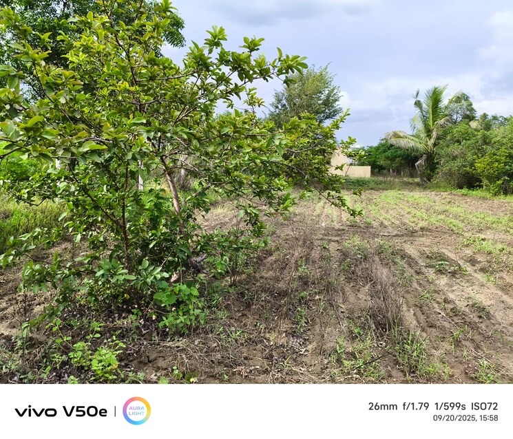 undefined, karhati  69000 Sq.Ft. Plot In Karhati Baramati 9216416