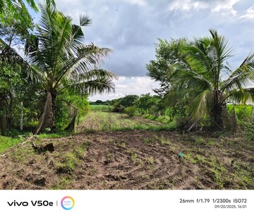  Plot – Garden View at Karhati - for Sale