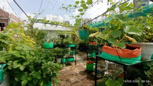 3 BHK Independent House – Exterior View View at Sector 110a - for Sale