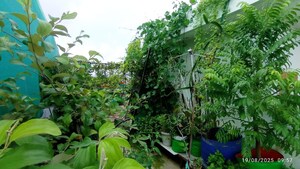 3 BHK Independent House – Exterior View View at Sector 110a - for Sale