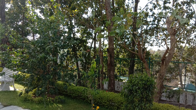 Garden, mussoorie road 2 Bedroom 1350 Sq.Ft. Apartment In Mussoorie Road Dehradun 7339467