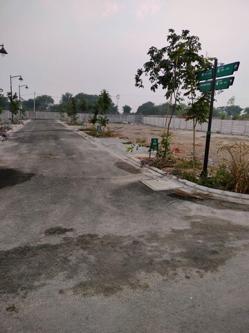 Plot Area in  Plot at Sector 33 – for Sale
