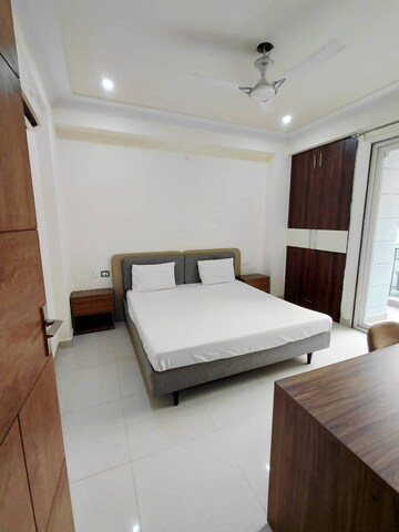 1 BHK Apartment For Rent in Saket