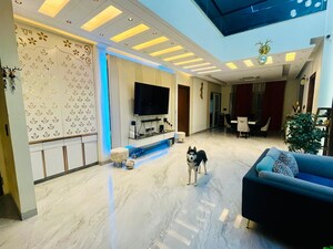 Living Room in 6 BHK Independent House at Sector 130 – for Rent