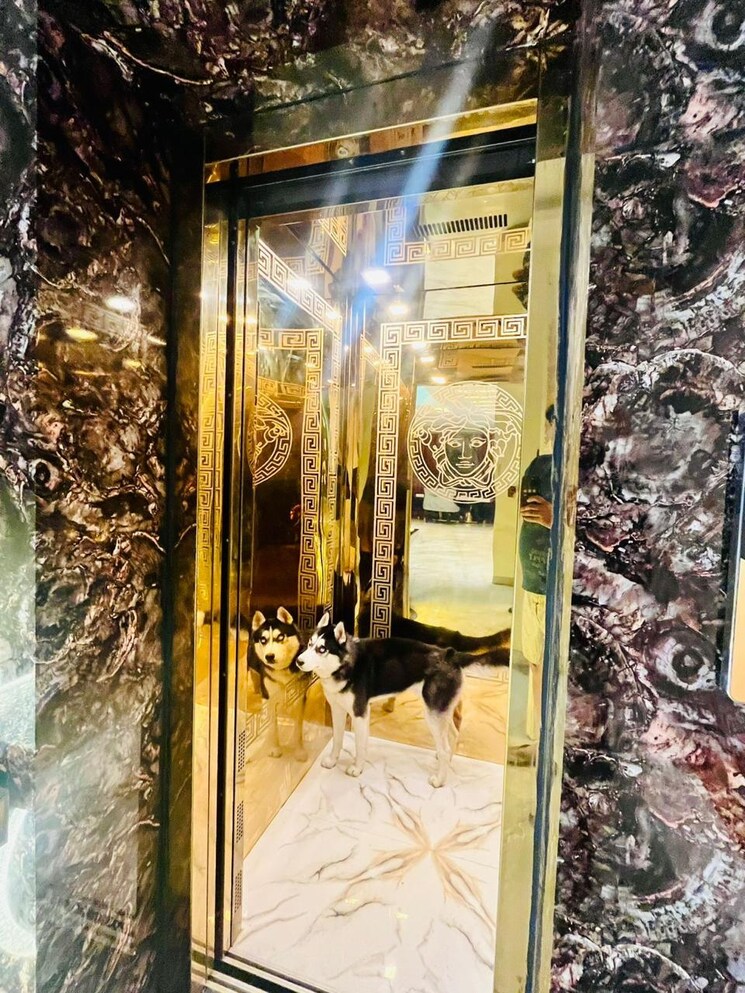 undefined, sector 130 6 Bedroom 534 Sq.Mt. Independent House In Sector 130 Noida 9217314