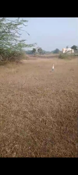 Plot Area in  Land at Ahmed Nagar – for Sale