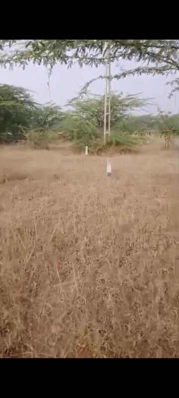 Plot Area in  Land at Ahmed Nagar – for Sale