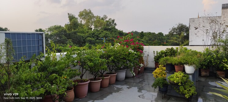 Balcony, saket 4 Bedroom 500 Sq.Yd. Builder Floor In Saket Delhi 9217334