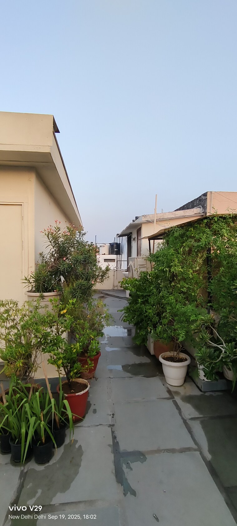 Exterior View, saket 4 Bedroom 500 Sq.Yd. Builder Floor In Saket Delhi 9217341