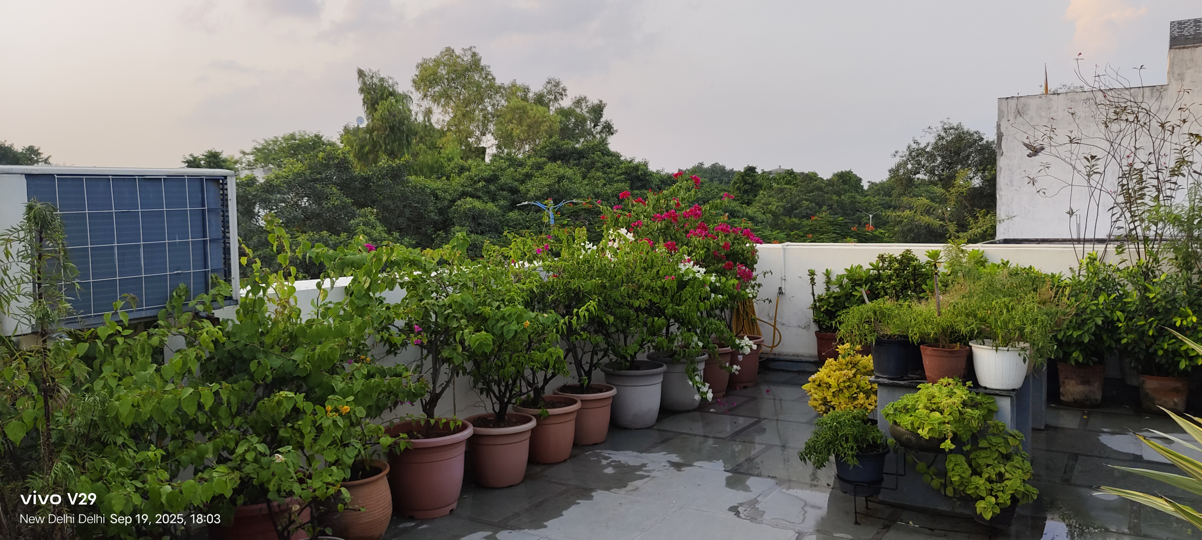 4 BHK + Servant Room,Extra Room Builder Floor For Sale in Builder Floor 