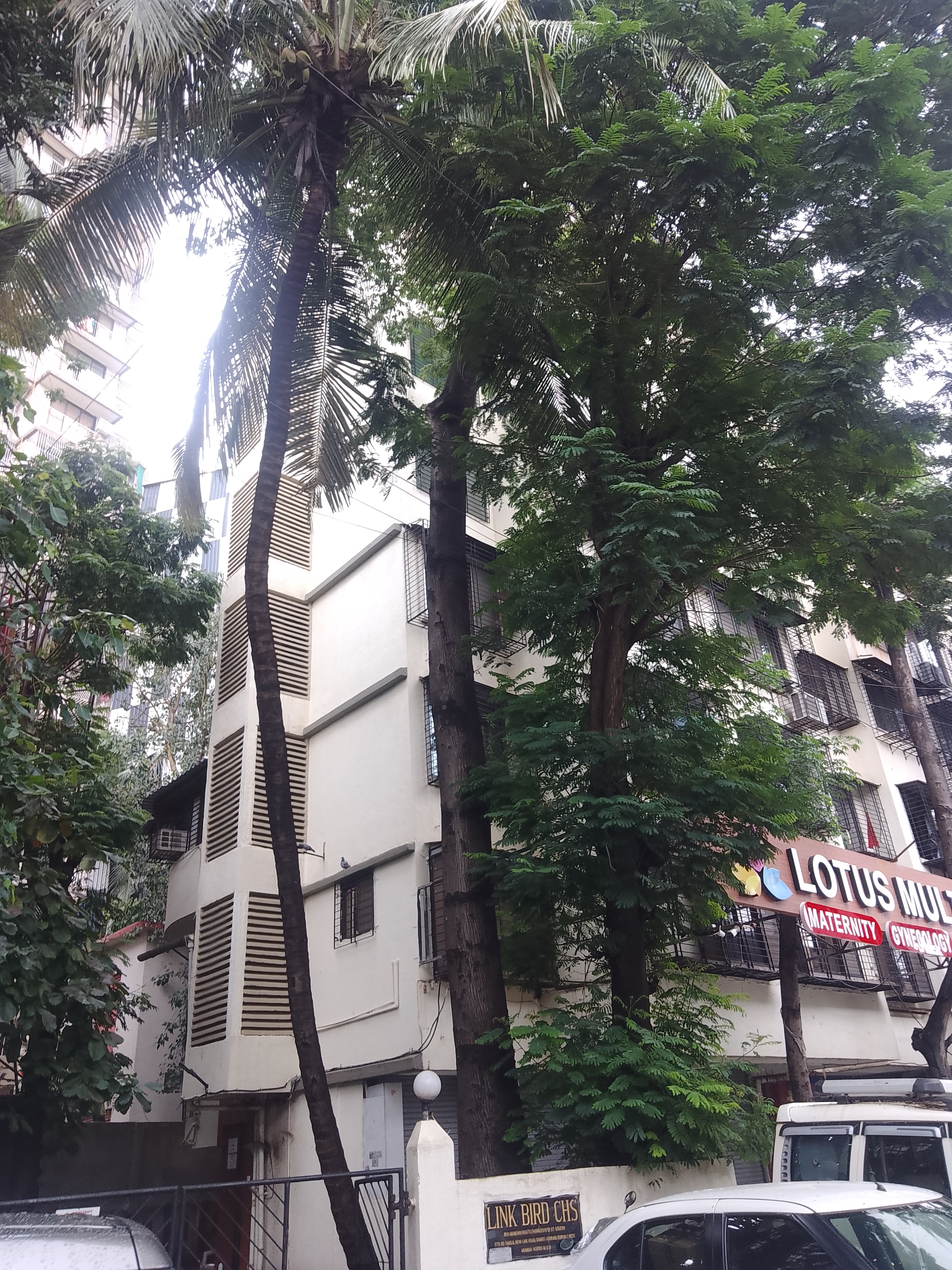 1 BHK 645 Sq.Ft. Apartment in Link Bird CHS