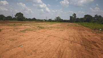 Plot Area in  Plot at Shadnagar – for Sale