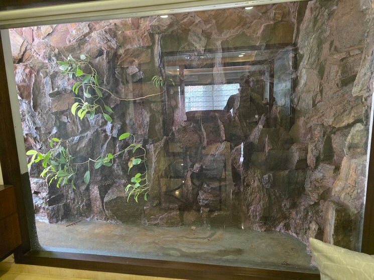 Exterior View, dsr-elite 4 Bedroom 3600 Sq.Ft. Villa In Mahadevpura Bangalore 9217947