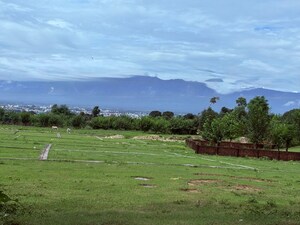 Plot Area in  Plot at Sherpur – for Sale