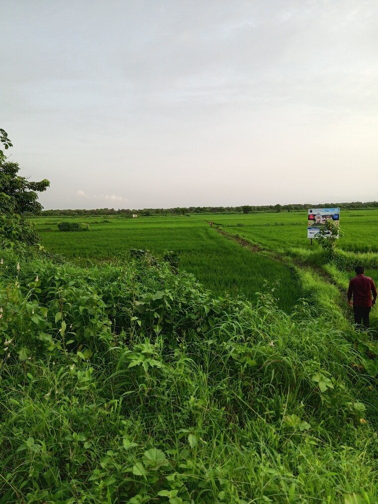 Garden, uran  5445 Sq.Ft. Plot In Uran Navi Mumbai 9217985